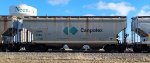 CNPX 1295